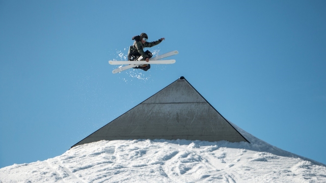 bat365：园林绿化养护期是几年