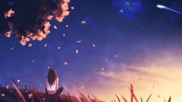 园林绿化常用的盆栽花卉