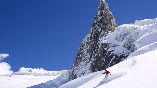 bat365中国：园林绿化古树名木保护