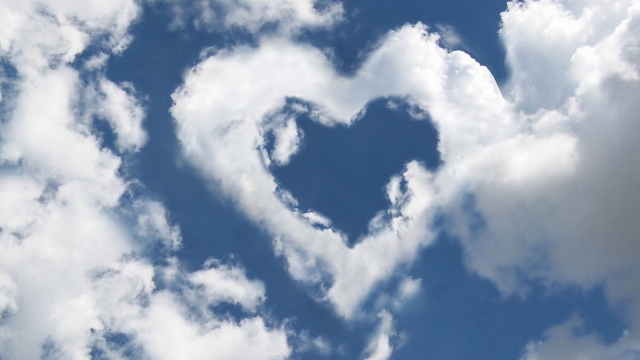 bat365公司：园林绿化才璎珞