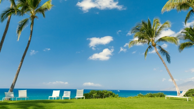 bat365：园林绿化灌木比例