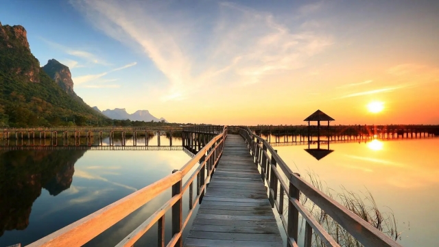 bat365公司：园林绿化用什么陶粒