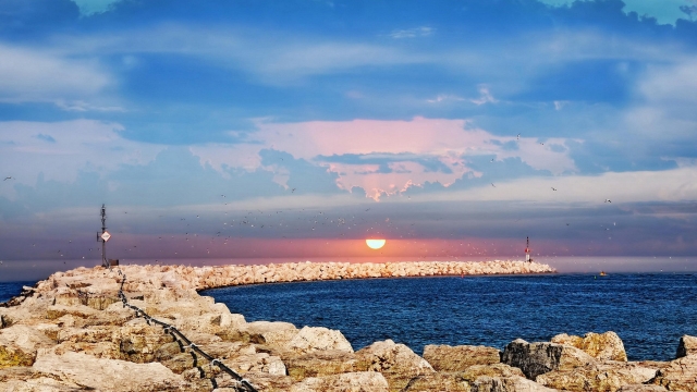 bat365公司：园林绿化防疫措施