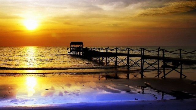 bat365集团：园林绿化有多少树种名称