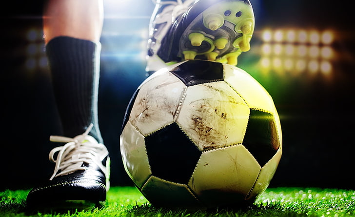 bat365：园林绿化有限绿植