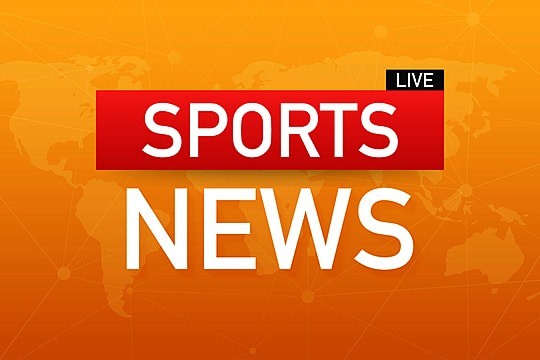 园林绿化铁树养护