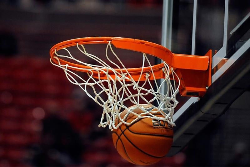 bat365中国：园林绿化修枝方法