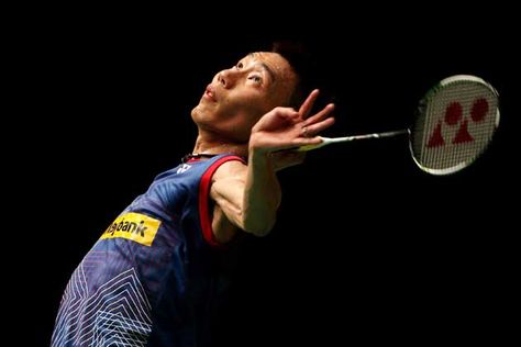 2024年绿化工程草坪求购